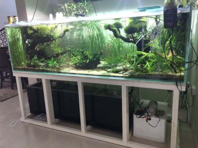 Custom Large Fish Tank Good Glass Aquarium Far Superior to Acrylic in Performance
