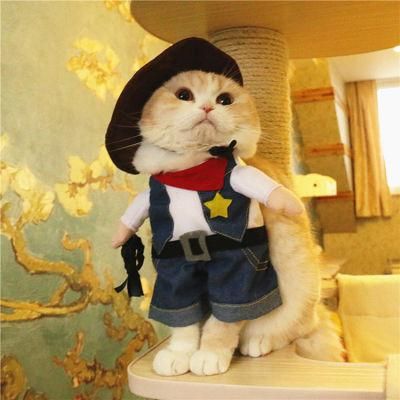 Wholesale Puppy Pet Play Outfits Luxury Cat Clothes Funny Dog Coats