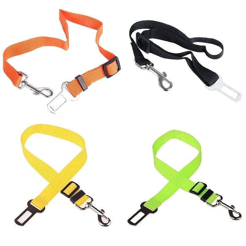 Walking Quickly Colourful Supply Point Pet Leash Accessory