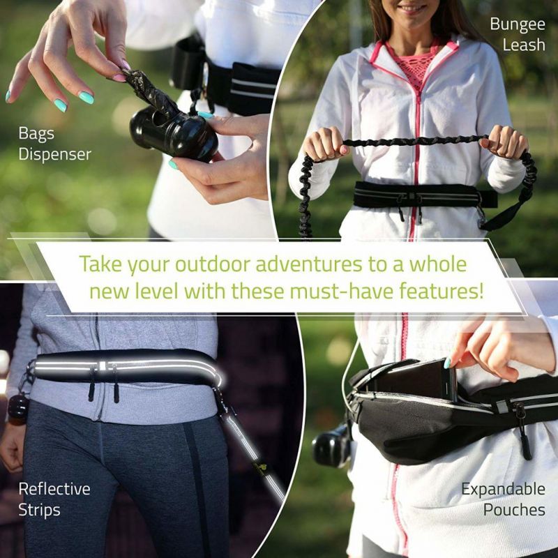 Bungee Dog Leash for Walking & Running with Small, Medium or Large Dogs