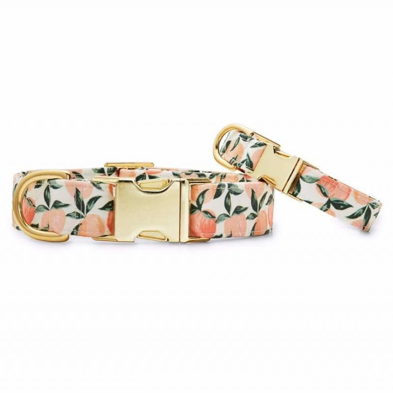 Factory Wholesales Pet Accessories Custom Vest Dog Harness Dog Leash Pet Collars Set