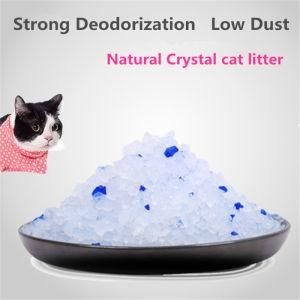 Clean up Products Grooming Products Type and Cat Species Cat Litter