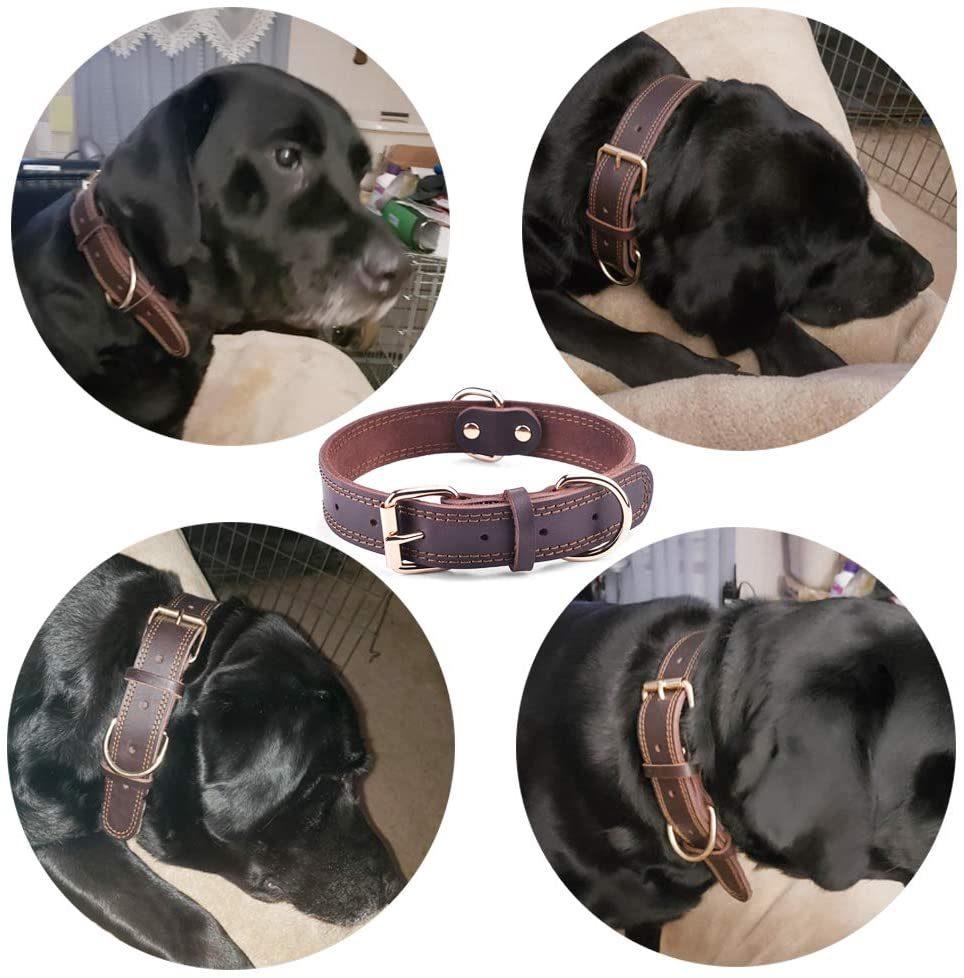 100% Genuine Leather Dog Collar with 4 Colors Option