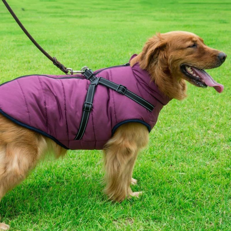 Winter Coat for Dogs with Reflective Harness