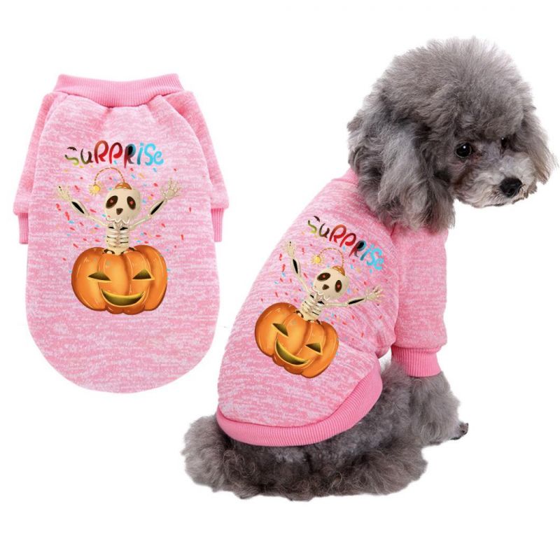 Halloween Teddy Costume Pumpkin, Pattern Pet Sweater Dog Cat Autumn Winter Clothes