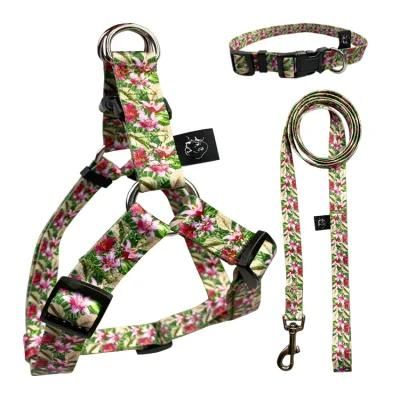 Custom Reversible No Pull Dog Harness Breathable Adjustable Dog Harness Leash Set