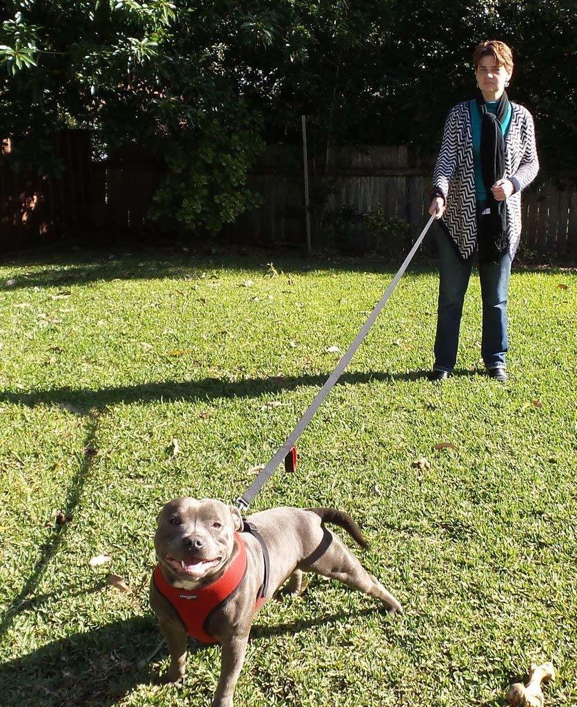 Heavy Duty Traffic Padded Two Handle 8FT Long Dog Leash for Large Dogs or Medium Dogs