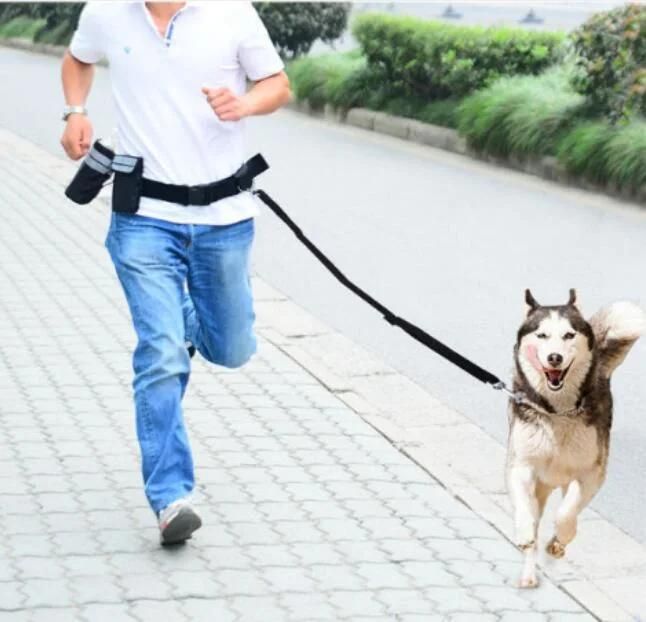 Pet Belt Running Traction Rope Multi-Function Pet Supplies Pet Pull Dog Leash Reflective Running Dog Leash Th8123