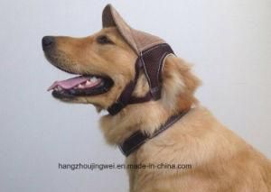 Sunshine High Quality Pet Hat Cute Lovely Pet Product Pet Hat Dog Hat