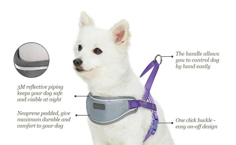The Best Seller Soft & Comfortable 3m Reflective Strips Nylon Neoprene Padded Training Dog Harness