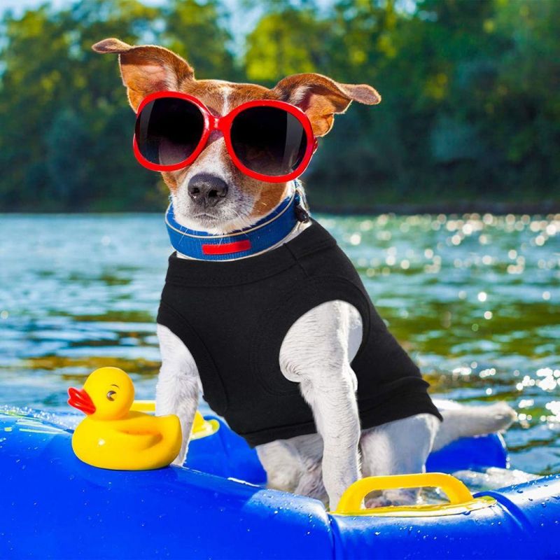 Hot Sale Summer Dog T-Shirt with Fast Delivery