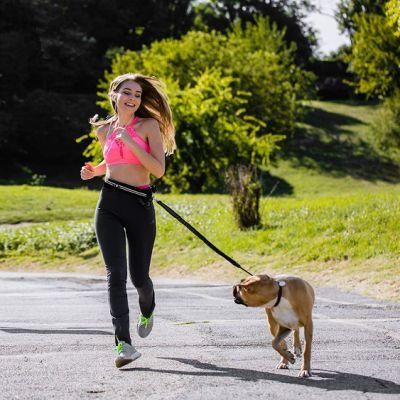 Bungee Dog Leash for Walking &amp; Running with Small, Medium or Large Dogs