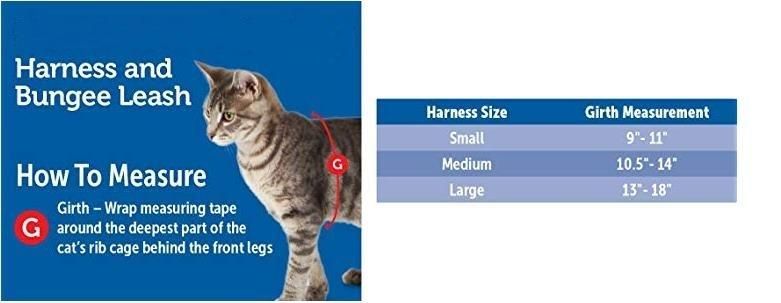 Cat Harnesses Bungee Figure 8 Style Cat Leashes Playing Outside