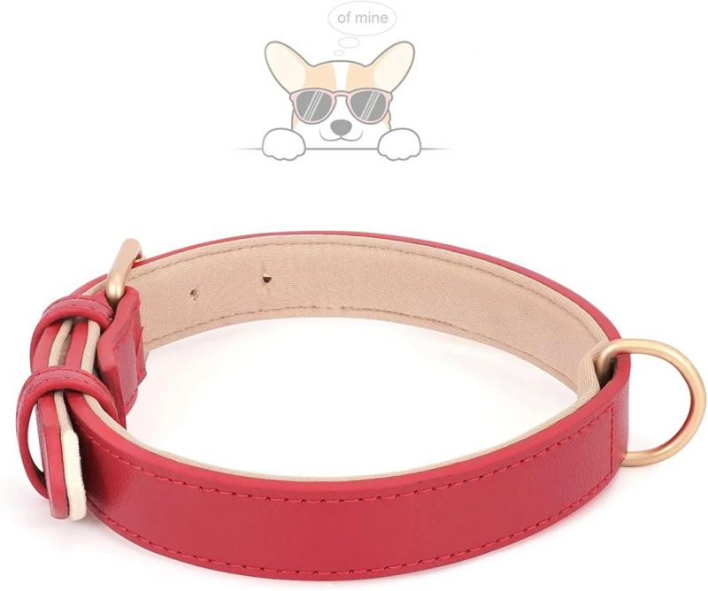 Heavy Duty Waterproof Classic Leather Dog Pet Collar