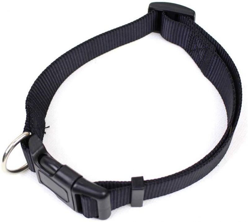 Adjustable Nylon Dog Collar, Classic Solid Colors for Small Sized Dogs Neck