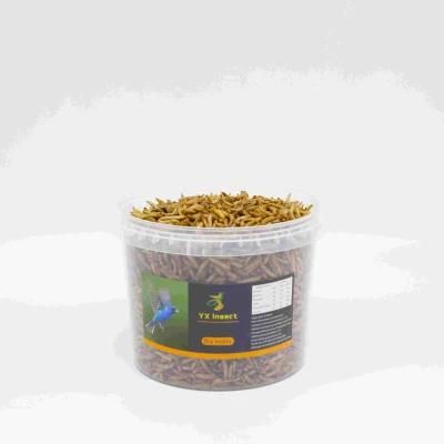 Bulk High Protein Fish Food/Bird Food/Pet Food Made of Dried Mealworms