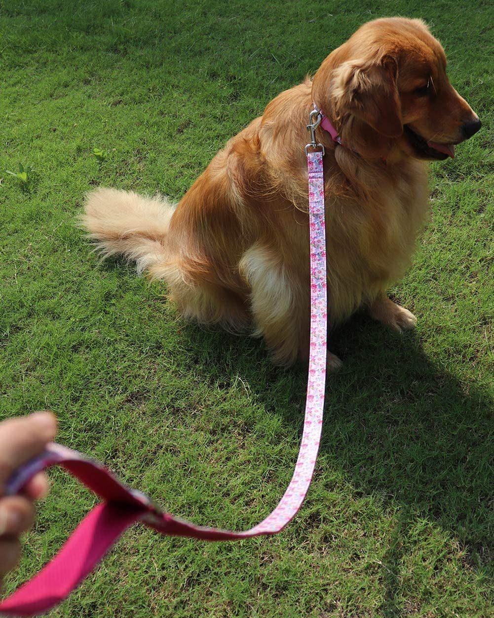 Super Adorable Prints Heavy Duty Dog Leash, Strong Western Leashes