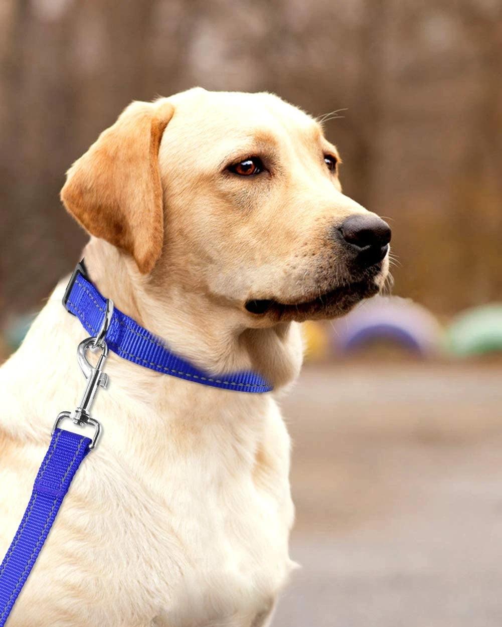 Highly Reflective Quick Release Nylon Dog Collar