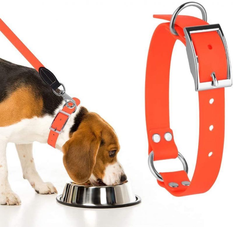 Waterproof PVC Comfortable Pet Collar Matching Leash Set