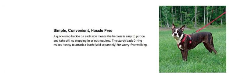 Supply to Petsafe Sure-Fit Harness, Adjustable Dog Harness From The Makers of The Easy Walk Harness