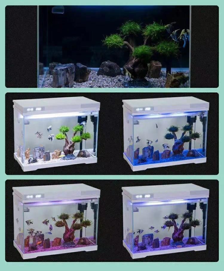 Low-Iron Glass Tank 50L with Tempering Cover