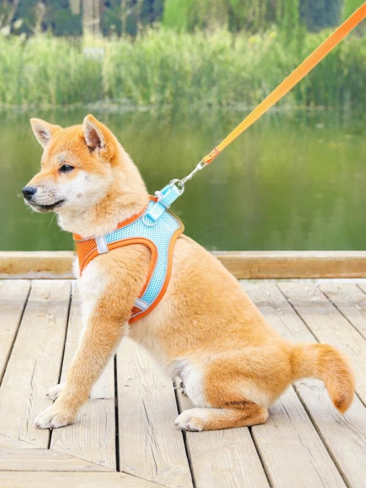 Walking Lead Leash Polyester Mesh Harness for Small Medium Pet
