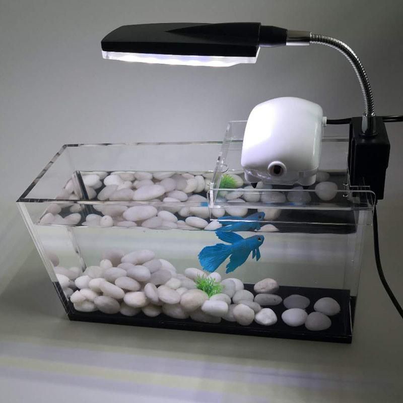 2020 Factory Directly Supply Acrylic Square Aquarium Can Be Customized Transparent Manufacturers Direct