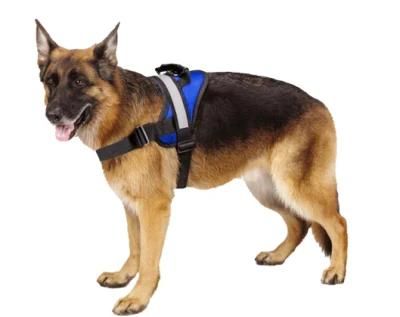 Nylon Heavy Duty Dog Pet Sports Harness with Welded D-Ring