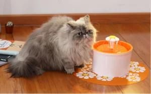 Cat and Dog Water Fountain Pet Waterer Dispenser Water Feeder Orange