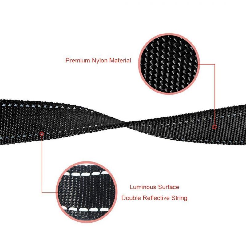 Solar-Powered/USB Rechargeable Waterproof LED Dog Leash