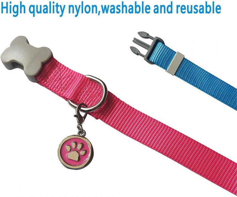 Basic Nylon Dog Collar with Classic Solid Color