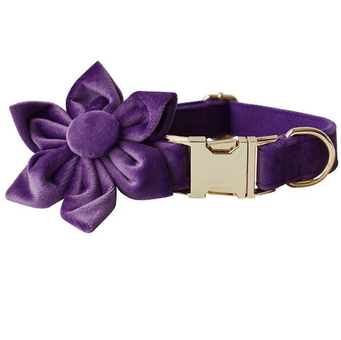 Classic Dog Collar Soft Comfortable Adjustable Collar