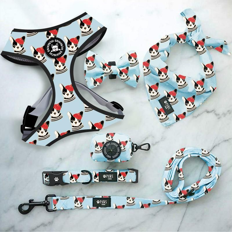2021 Custom Logo Customized Pattern Pet Products Adjustable Soft Mesh Padded Reversible Dog Harness Set/Pet Accessories
