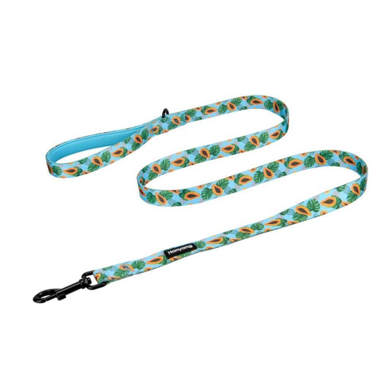 New Release OEM Manufacturer Classic Neoprene Dog Leash