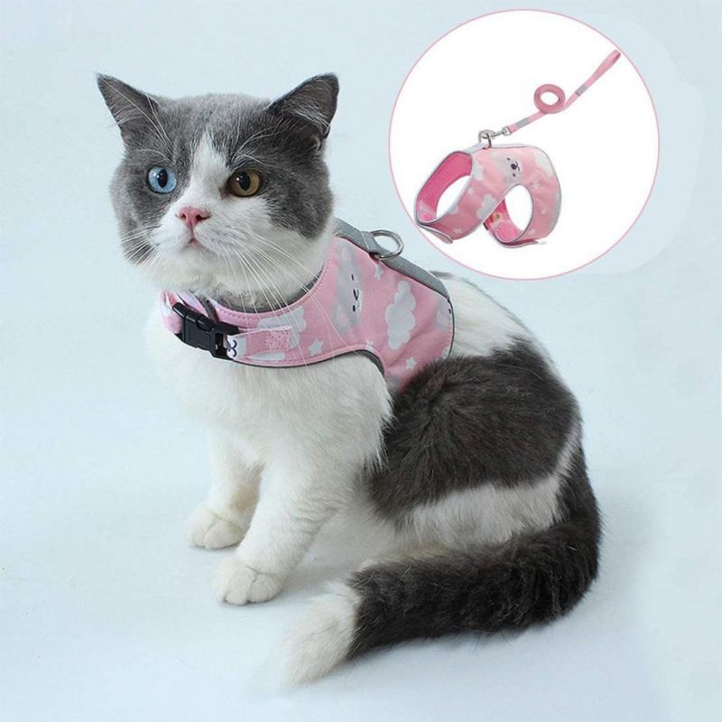 Soft Breathable Mesh Cat Harness with Leash Set