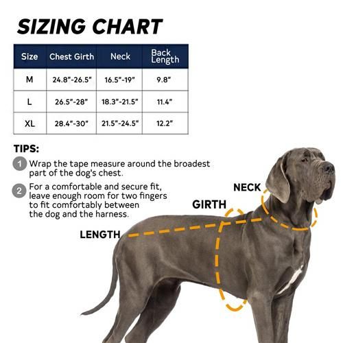 Mesh Padding Tactical Dog Harness Molle System & Velcro Area Working Dog Vest