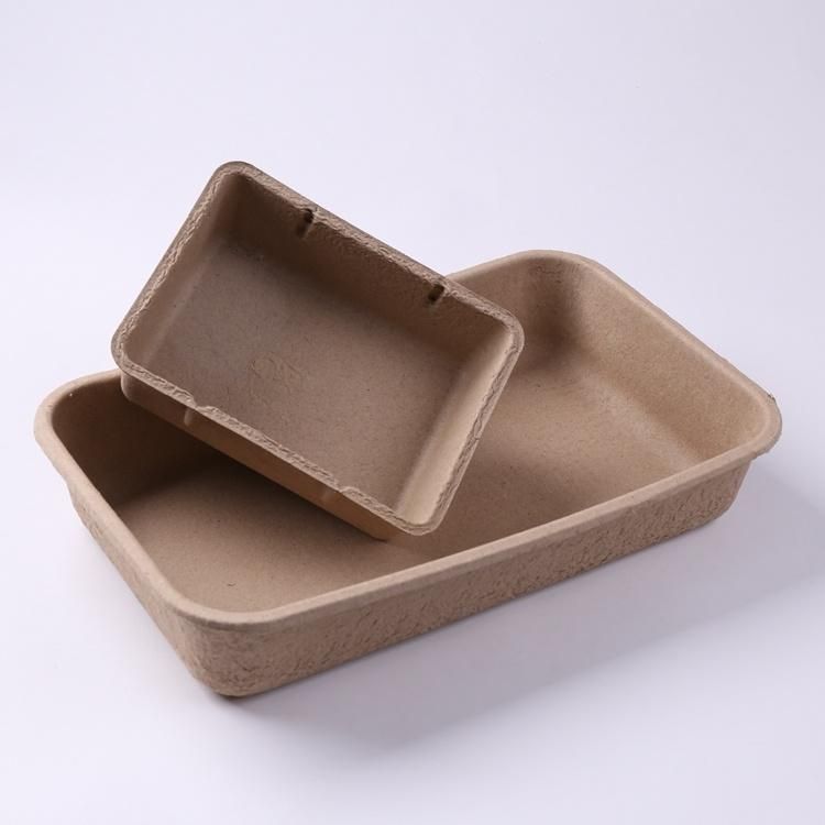 Eco Friendly Pet Cat Meal Box, Molded Pulp Tray