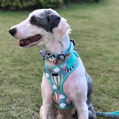 Wholesale Dog Fashion Collar Custom Print Dog Harness Leash Adjustbale Pet Harness