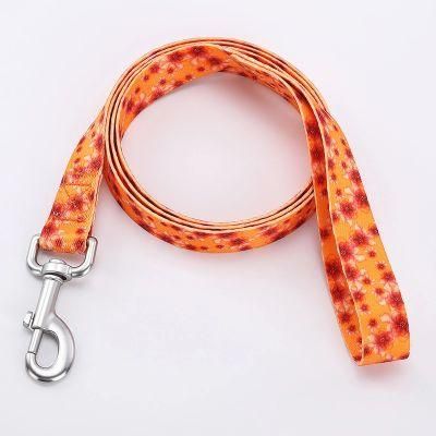 2022 Amazon Hot Selling Dog Leash with Neck Ring Carabiner Hook