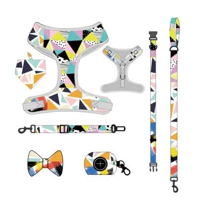 Customized All Kinds of Harness Design Pattern Dog Harness
