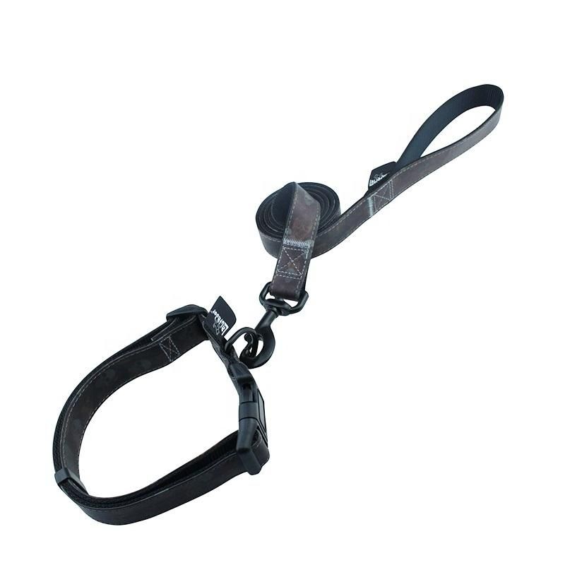 Amazon Top Seller Fashion Heavy Duty Dog Leash Eco Friendly Pet Collars Leashes