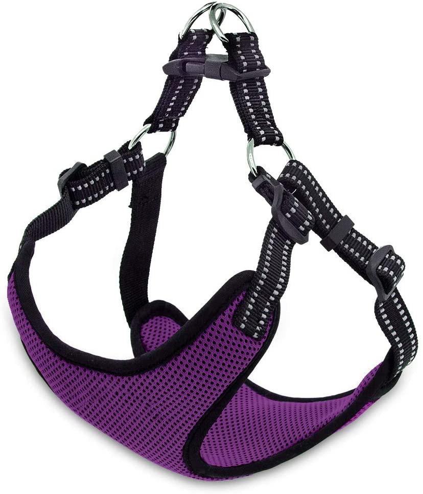 Soft Mesh Step in Dog Harness with Multiple Colors