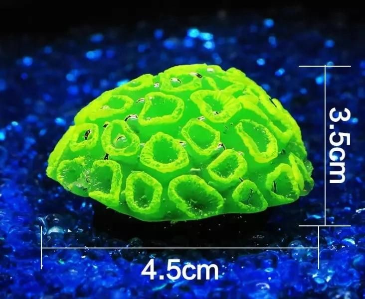 Wholesale All Kinds of One Color Fish Tank Coral Aquatic Plants Decoration Products