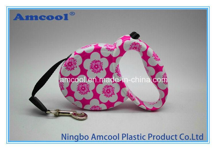 Retractable Dog Collar and Leash Pet Product Pet Supply
