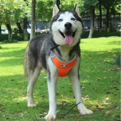 2022 Pet Products on Sale Dog Harness Boy Dog Harness Kmart Dog Harness Dog Harness in Training