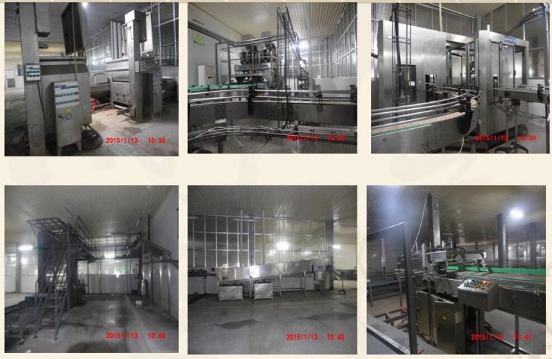 OEM/ODM Customized Brand & Logo Bulk Pouched Muddy Pate Cat Food Liquid Wet Cat Dog Pet Snacks Wholesale Dog Cream Liquid Cat Snacks Creamy Products Supplier