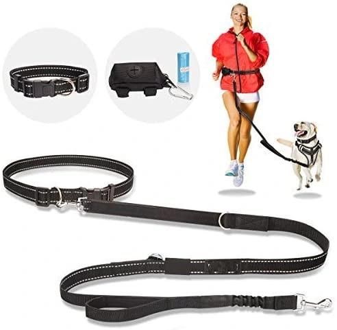 Reflective Dual Padded Handles Dog Leash