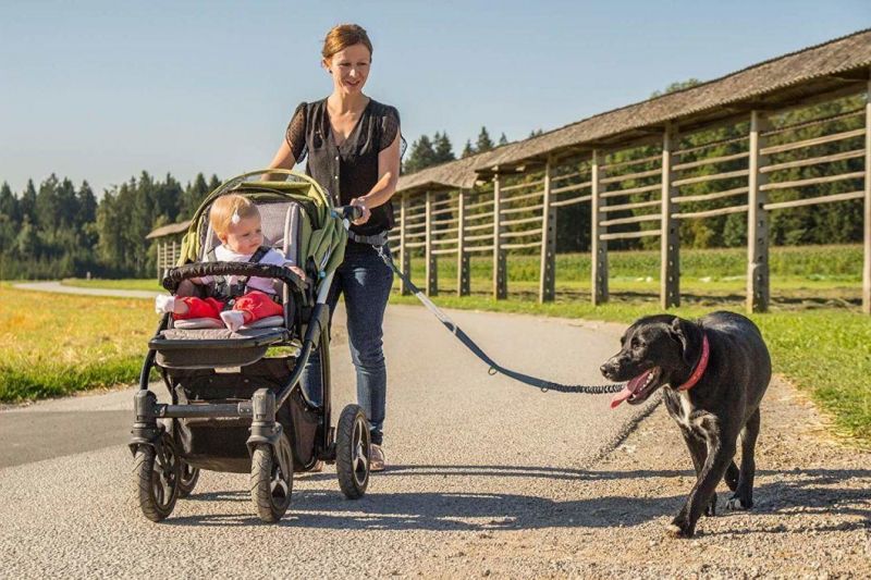 Shock Absorbing Quick Release Bungee Dog Running Leash