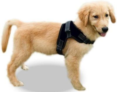 No Pull Reflective Adjustable Dog Harness Mesh Pet Harness