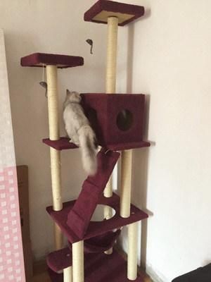 Wholesale Wooden Scratcher Tower Cat Tree House Cat Tree with Three Perches Cat Tower